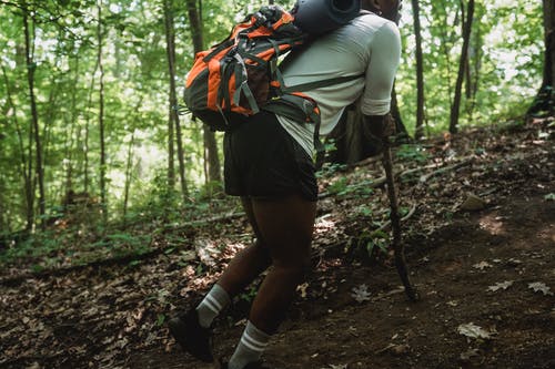 黑色的徒步旅行者用木棍在森林里爬 · 免费素材图片