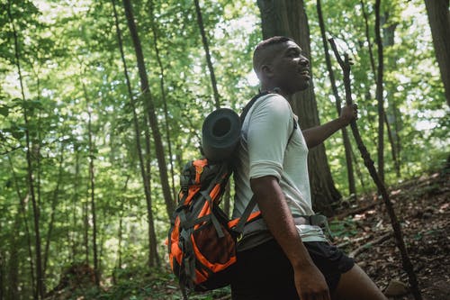 非洲裔美国徒步旅行者在森林里攀爬 · 免费素材图片