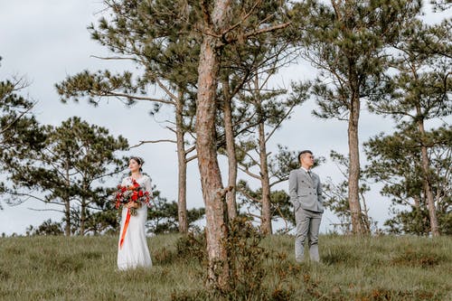 新婚夫妇在草地上的树木 · 免费素材图片