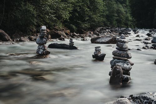 有关公园, 华丽的, 原本的免费素材图片