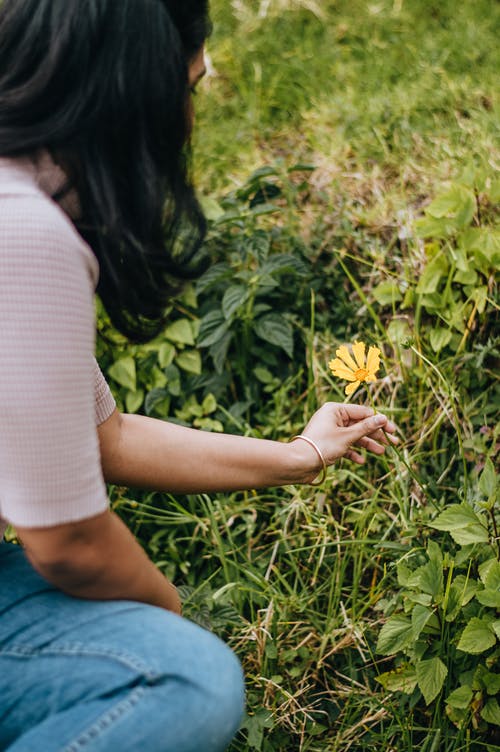 女人拿着一朵黄色的花 · 免费素材图片