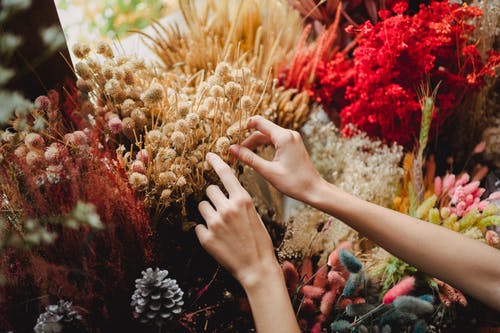 作物不露面的女人摘鲜花从各种花束装饰元素 · 免费素材图片