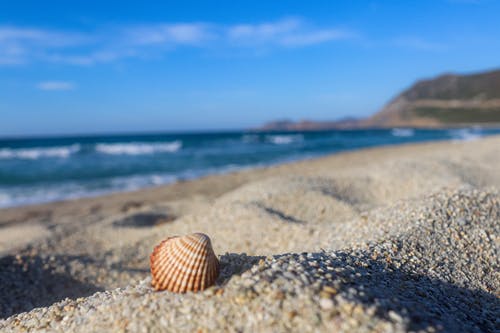 有关岸邊, 海, 海洋的免费素材图片