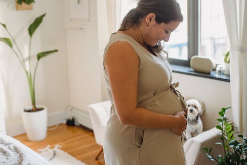 孕妇摸肚子与狗在沙发上 · 免费素材图片