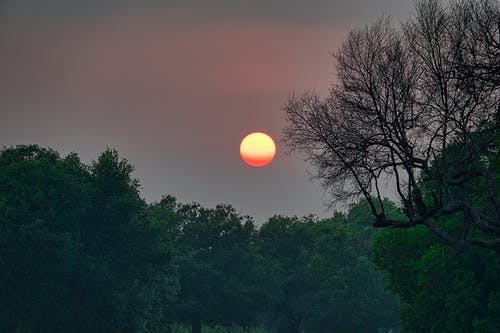 有关傍晚天空, 天性, 太阳的免费素材图片