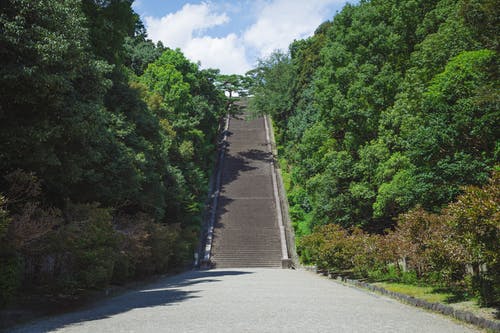 公园茂密的树木所包围的陡峭楼梯 · 免费素材图片