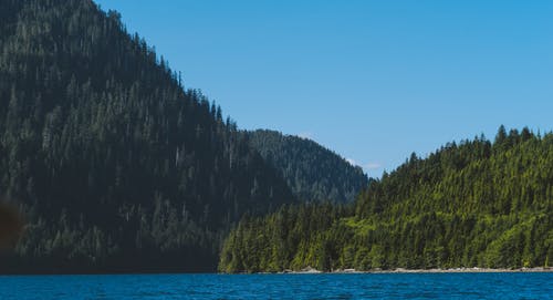 有关天性, 山, 峡湾的免费素材图片