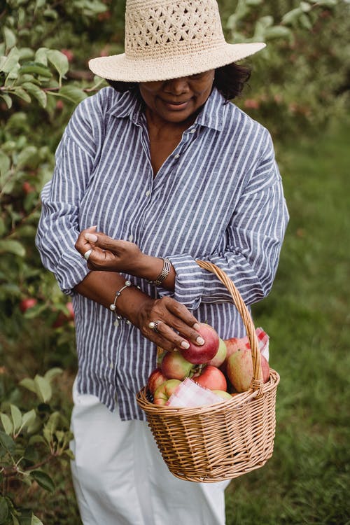 西班牙裔女人收获成熟的苹果在农村 · 免费素材图片