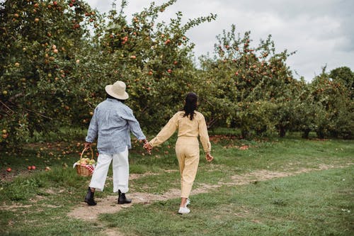 女人和女儿在果园里散步在篮子里的水果 · 免费素材图片