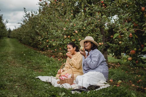 族裔母亲和女儿在野餐期间吃苹果 · 免费素材图片