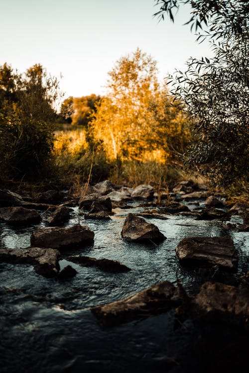 河流流过森林里的石头的风景 · 免费素材图片