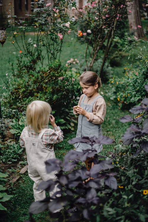 站在绿色的植物旁边的白色长袖衬衫的女孩 · 免费素材图片