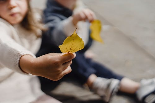 拿着黄色枫叶的白色长袖衬衫的女人 · 免费素材图片