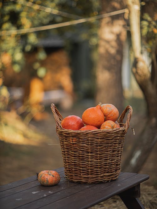 棕色编织篮子里的橙色南瓜 · 免费素材图片
