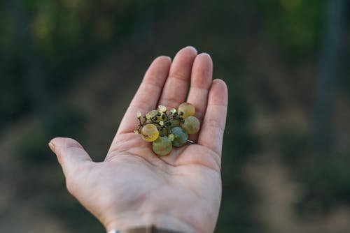 有关不露面, 人, 健康的免费素材图片