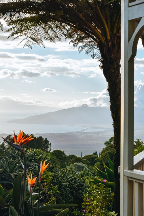 露台，可欣赏热带花园，反对山海 · 免费素材图片
