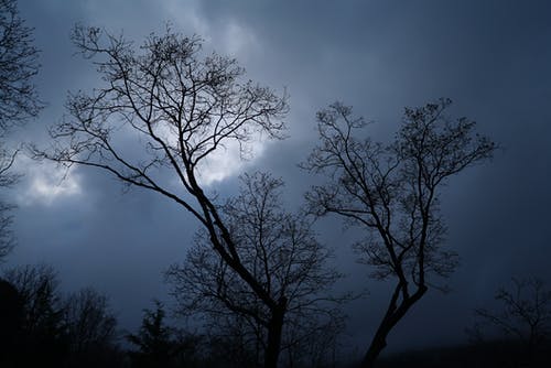 有关侧面, 剪影, 户外的免费素材图片