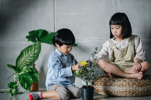 有兄弟的亚裔小女孩在家 · 免费素材图片