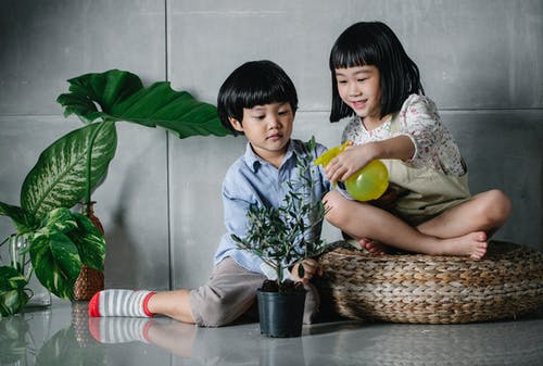可爱的亚洲孩子一起喷涂室内植物 · 免费素材图片