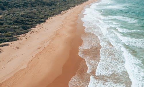 波涛汹涌的海面，在绿树环绕的沙质海岸附近挥舞着 · 免费素材图片