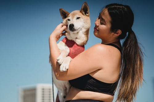 幸福的亚洲超重女人抚摸可爱的柴犬 · 免费素材图片