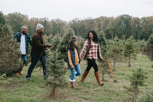 幸福的黑人家庭，在农村中选择冷杉 · 免费素材图片
