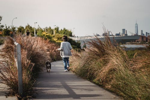认不出来的孩子与狗在公园散步 · 免费素材图片