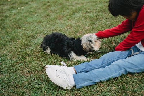 作物民族儿童爱抚小狗在草地上 · 免费素材图片
