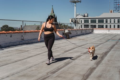 与码头上的柴犬散步的年轻超重亚洲女人 · 免费素材图片