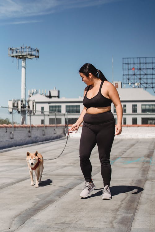 超重的亚裔女子和柴犬在码头上行走 · 免费素材图片