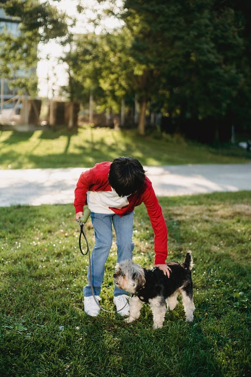 孩子在公园与狗共度时光 · 免费素材图片