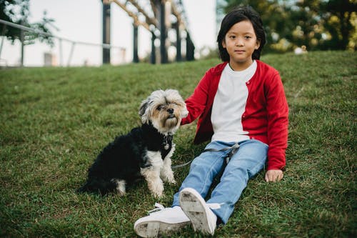 约克夏犬在城市草坪上的亚洲男孩 · 免费素材图片