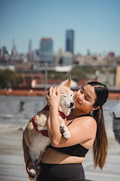 年轻的亚洲加上大小的女人抱着柴犬 · 免费素材图片