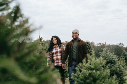 积极的黑人母亲和儿子在树之间行走 · 免费素材图片