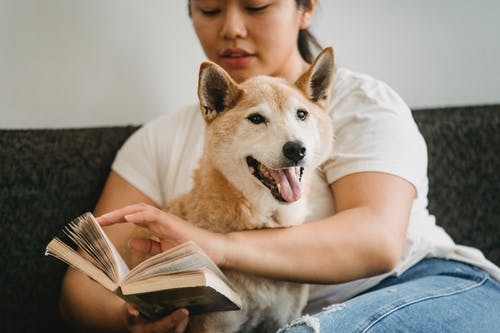 聚焦亚洲女人与柴犬阅读书 · 免费素材图片