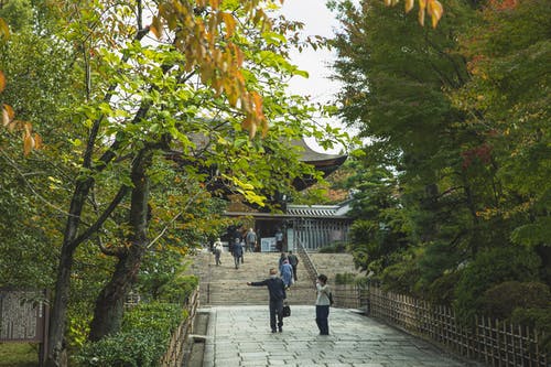 在公园里茂密的树木背后的传统神社 · 免费素材图片