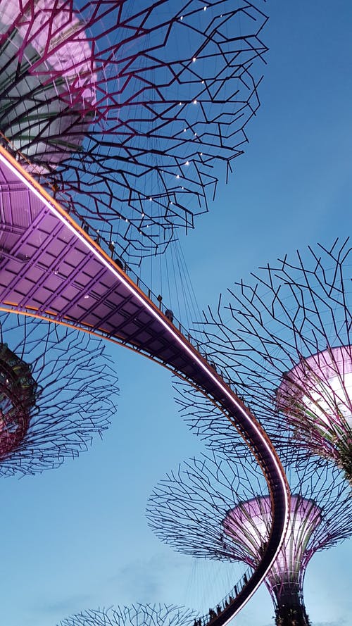 有关新加坡, 旅游景点, 海湾花园的免费素材图片