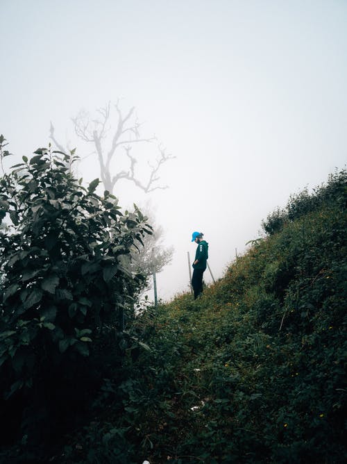 有关不露面, 人, 休闲的免费素材图片