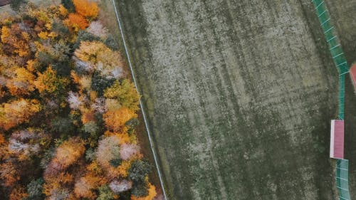 有关下落, 俯视图, 公园的免费素材图片