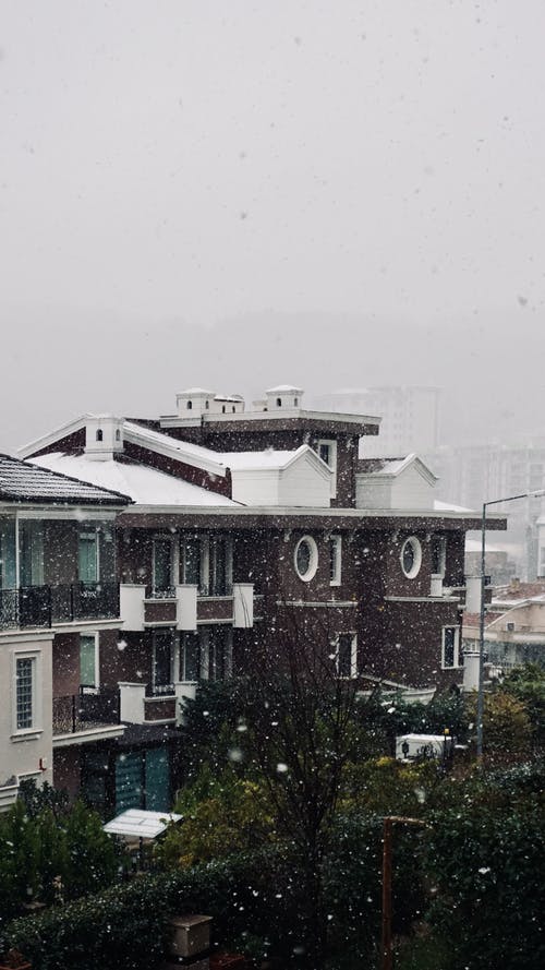 有关下雪, 垂直拍摄, 季节的免费素材图片