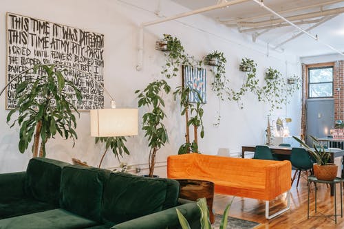 客厅里的家具和植物在家里 · 免费素材图片