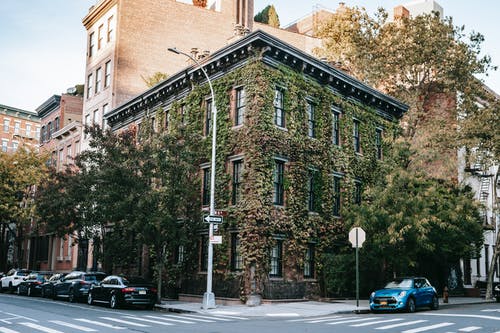 老建筑的外部覆盖着绿色的植物 · 免费素材图片
