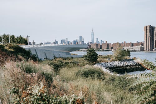 长满草的路堤，可欣赏平静的河流和城市景观 · 免费素材图片