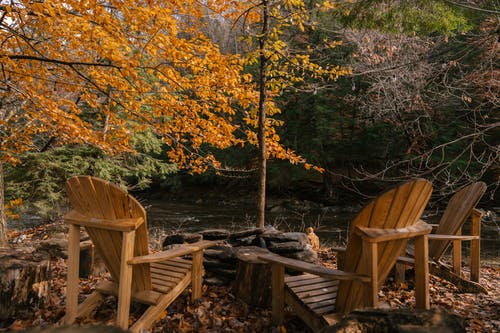 在秋天的树林河附近的椅子 · 免费素材图片