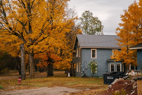 在白天的黄树丛中的房子 · 免费素材图片