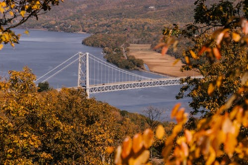 悬索桥流经平静的河流，流经丘陵地带，覆盖着茂密的秋天树木 · 免费素材图片