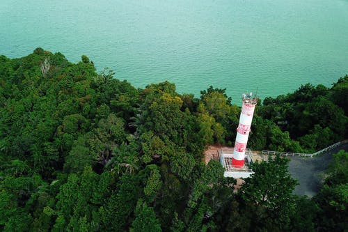 有关华丽的, 场景, 塔的免费素材图片