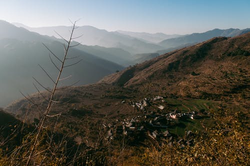 有关华丽的, 和平的, 和谐的免费素材图片