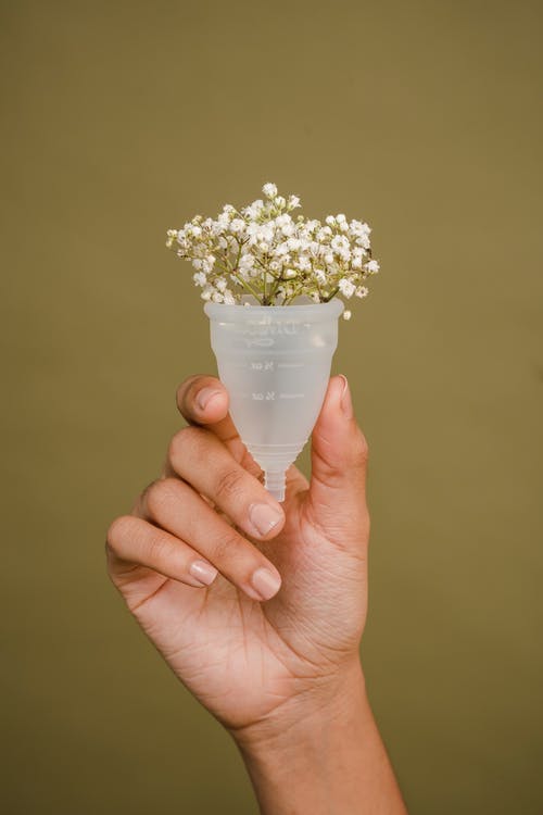 白色陶瓷花瓶上的白花花束 · 免费素材图片