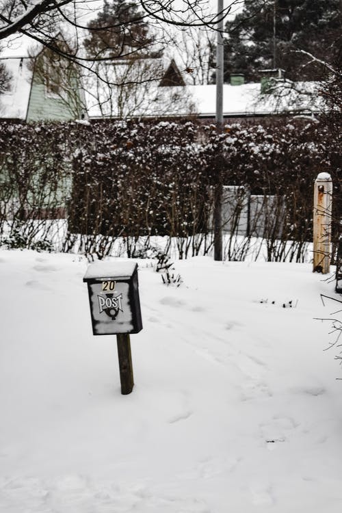 雪覆盖地面上的白色和蓝色垃圾桶 · 免费素材图片